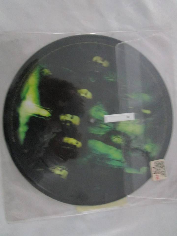 Cradle Of Filth Thornographic 10" Picture Disc 2006 Vinyl Record RARE MISFITS - Image 3 of 3