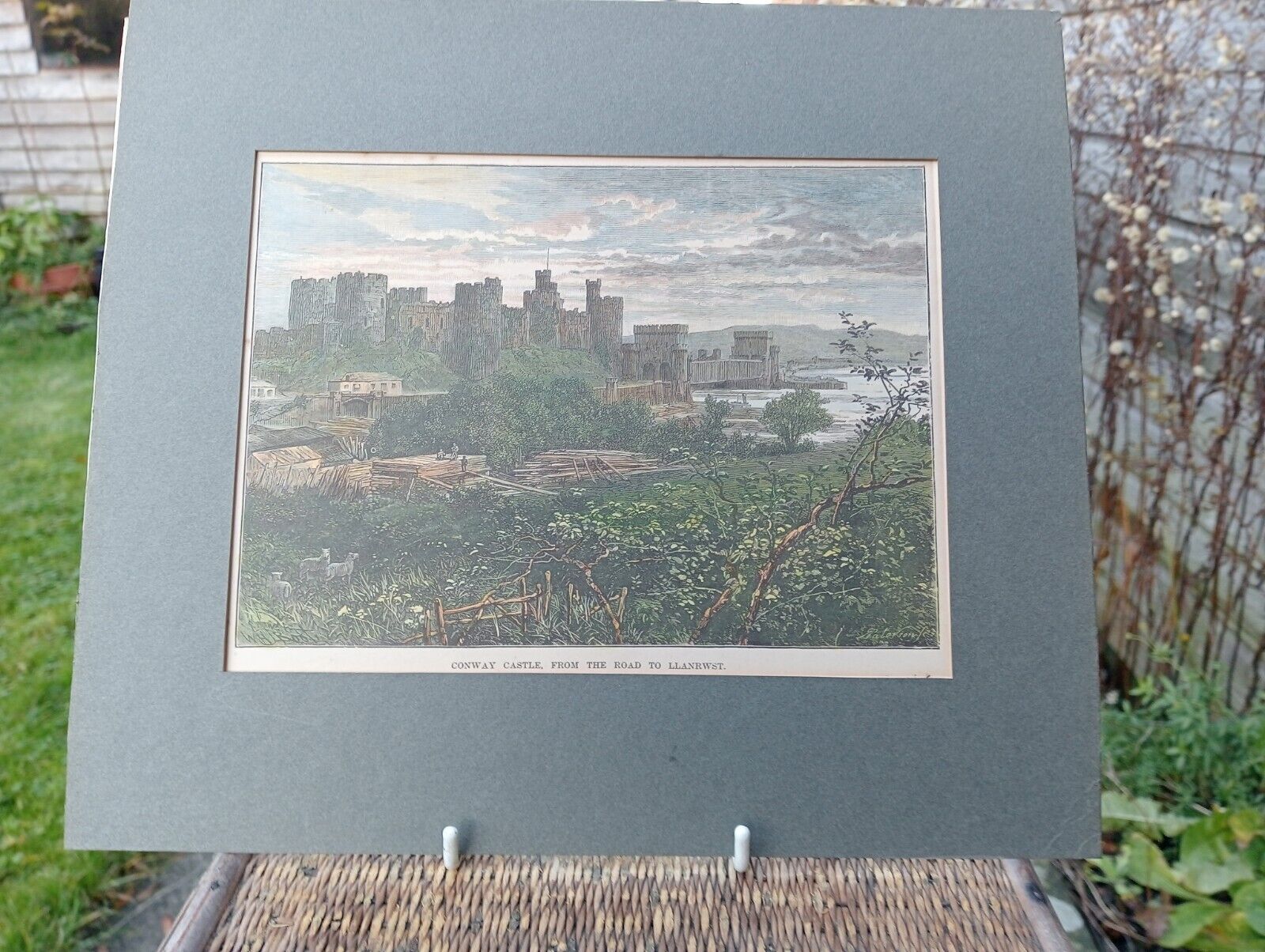 Picture 3 of 5