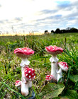 Set of 2 Toadstools  Garden Ornament Statue