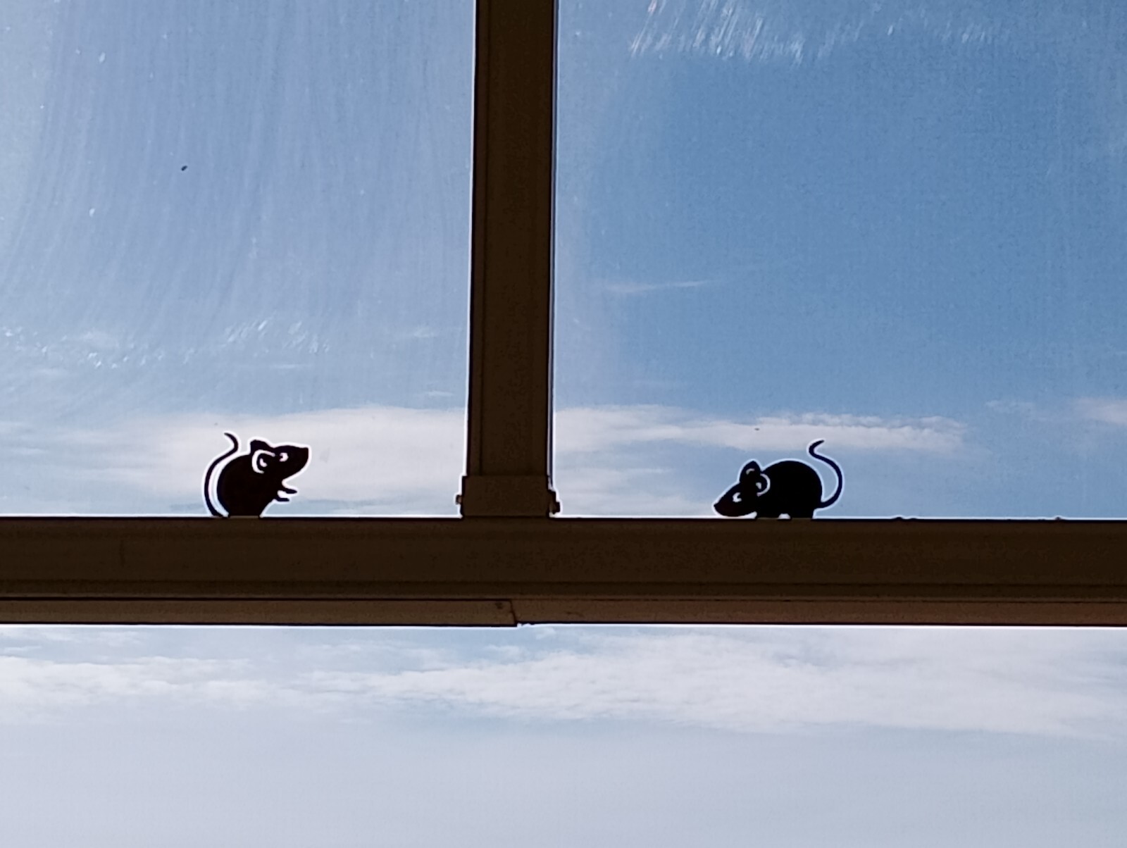 Picture 6 of 7