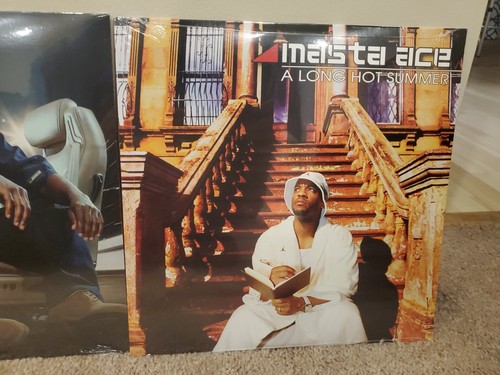 Lot of 2 Masta Ace LPs (New): Disposable Arts, A Long Hot Summer - Foto 3 di 7