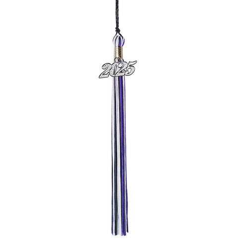 Klasse Akt Abschluss Abschluss Quaste - 2025 - Silber Charm - 3 Farben - Bild 7 von 68