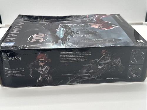 Pipigirl DC Cat Woman Motorcycle Model - The Dark Knight Trilogy MS Genuine - Bild 2 von 8