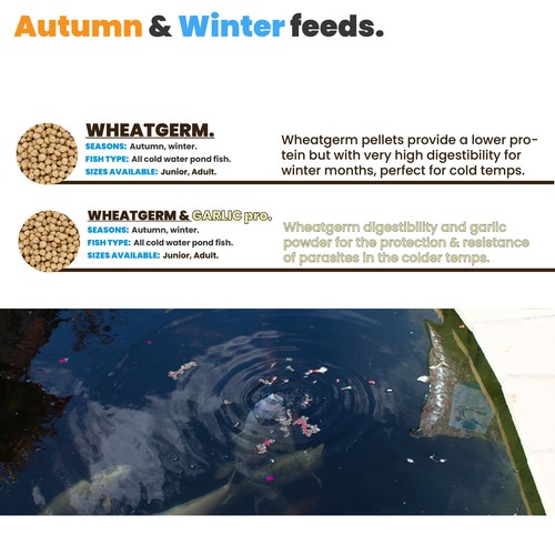 Wheatgerm all natural floating koi ULTRA LOW WASTE feed pellets 100g-10kg - Picture 4 of 11
