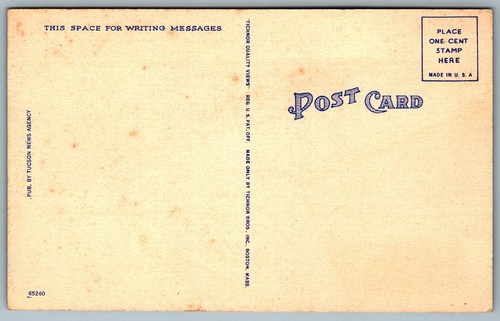 Postcard c1940s Spanish Dagger in Bloom in Ole Southwest Yucca Gloriosa - Picture 2 of 2