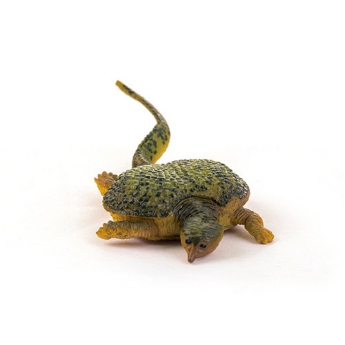 PNSO bambini museo educazione set figure dinosauro raro Placochelys regalo bambini - Foto 4 di 7