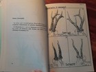 Bild 9 von 10
