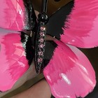 Bild 3 von 5