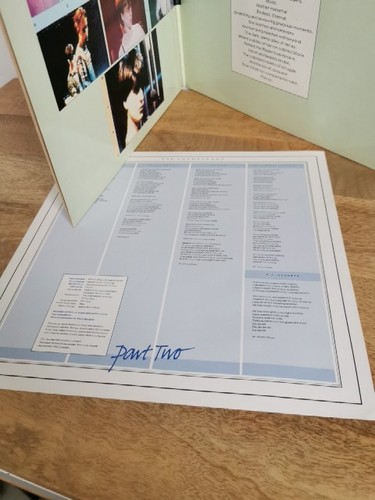 SLEVE ONLY The Chameleons What Does Anything Mean? Basically VG+ LP STATLP22 - Imagen 4 de 5