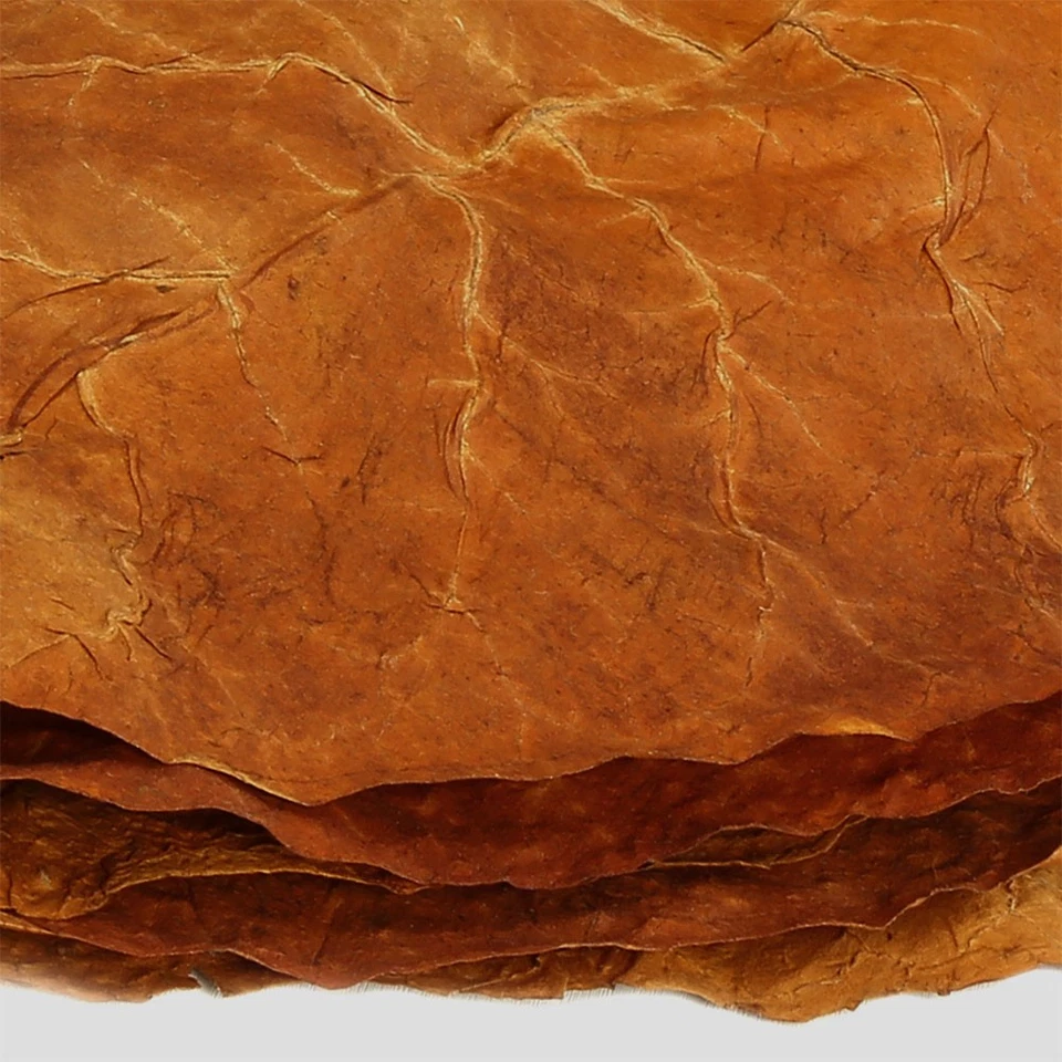 Burley Tabakblätter Rohtabak Naturtabak Tabak Premiumqualität Deko - Bild 2 von 4