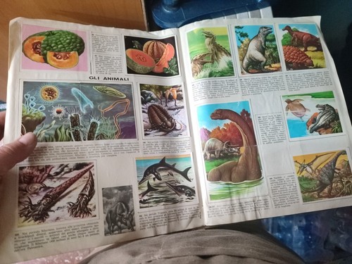 Album Tierwissenschaften Blumen Pflanzen Universum Menschlicher Körper Imperia Verlag - 5 Figuren - Bild 8 von 15