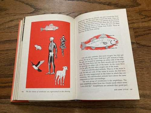 SCIENCE AND LIVING IN TODAY'S WORLD 5 Catholic Homeschool Vintage Children RARE - Picture 9 of 11