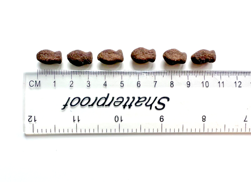 Bio Fischform Hundebehandlung Isländische Lachs- und Forellenbehandlung 100% natürlich 500g - Bild 4 von 8