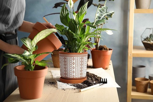 Set of 2 Cylindrical Terracotta Pots - Modern Drainage Planters for Home - Picture 8 of 9