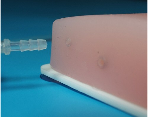 Ultrasound-Guided Vascular Puncture Training Model - Medical Simulation Tool - Picture 3 of 8