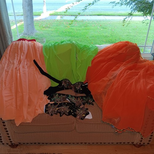 Belly Dancing Costume And Skirts