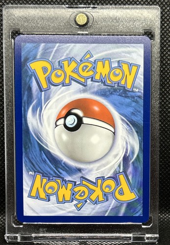 Holo Miraidon ex -  081/198 Double Rare Scarlet & Violet Base Set Pokemon TCG - Bild 2 von 2