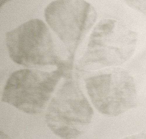 SAHCO HESSLEIN Agemina Floral Creme Gewebt Erhöhter Samt Neu Reststück - Bild 1 von 2