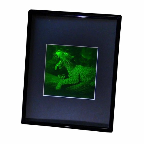 Imagen holograma 3D JAGUAR 2 canales (enmarcada) película tipo fotopolímero coleccionable - Imagen 3 de 7