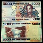 Sierra Leone Africa 5000 Leones 2010 Banknote World Paper Money Unc Currency