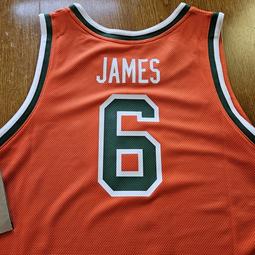 Nike LeBron James Size L Men's Florida A&M Rattlers #6 Orange Basketball Jersey - Picture 13 of 15