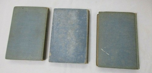 3 Vtg Polly Brewster books by Lillian E Roy Pebbly Pit, Eleanor, Business - Picture 2 of 4