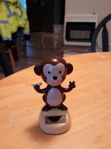 solar dancing monkey