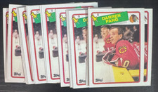 1988-89 Topps (20) #51 Darren Pang RC All EX-NRMT- Blackhawks