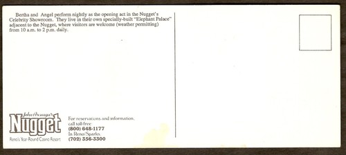 1980's ASCUAGA'S NUGGET CASINO HOTEL Reno NV Jumbo Adv Postcard SHOW ELEPHANTS - Picture 2 of 2