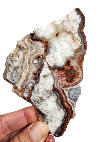 Laguna Lace Agate Slab Mexico 70.3 grams - Picture 2 of 3