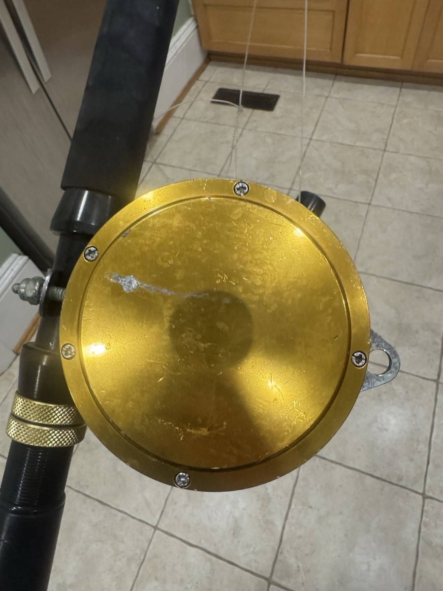 PEN インターナショナルⅡ 50TW Penn International II 50TW Fishing Reel from Japan | eBay