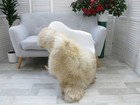 SHEEPSKIN RUG BRITISH HERDWICK REAL SOFT DENSE FUR SKIN NATURAL CHAIR COVER J392