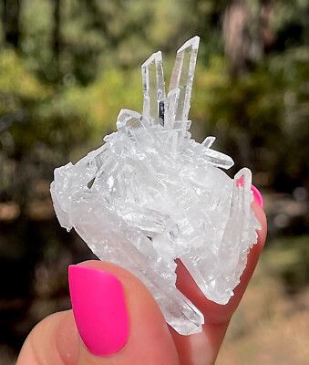Quartz Clear Optical Needle Quartz Cluster Santander Colombia 4.0 Centimeters :)