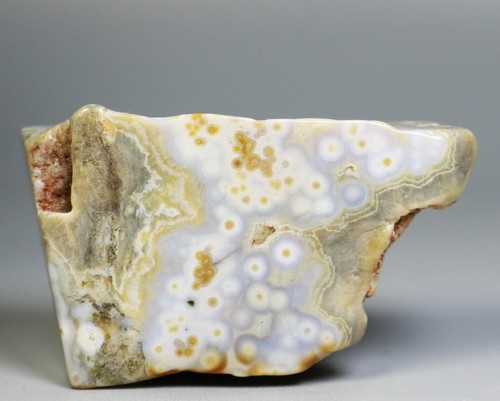 Natural Ocean Jasper Agate Quartz Crystal Palm Stone Healing Mineral Specimen - Picture 4 of 14