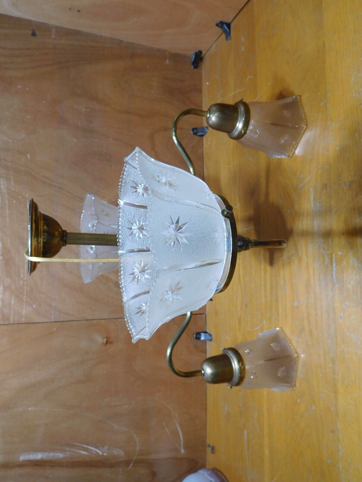Picture 7 of 24