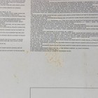 Foto 7 di 8