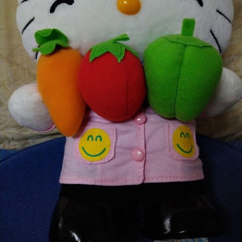 HELLO KITTY Kyorindo Pharmacist Registered Dietitian Plush 2 Body L S - Picture 12 of 16