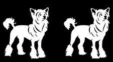 Chinese Crested 2 PACK White vinyl decals Car Windows Laptop Tablet Tumblers