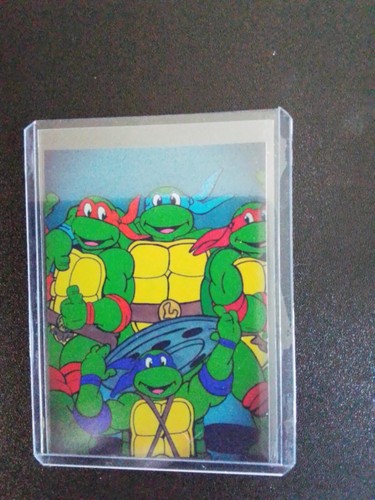 Teenage Mutant Ninja Turtles: Shredder's Revenge - [[[ Sketch Card Print!]]] - Bild 1 von 2