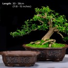 Antique Chinese Terracotta Style Bonsai Pot Large Rectangular Purple Sand Pots