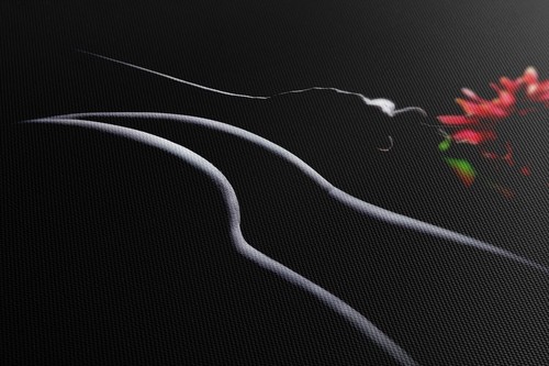 Nude Woman Red Gerbera Canvas Print Wall Art, Stylish Home Decor Wall Hanging - Picture 4 of 12