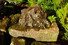 Bild 8 von 12