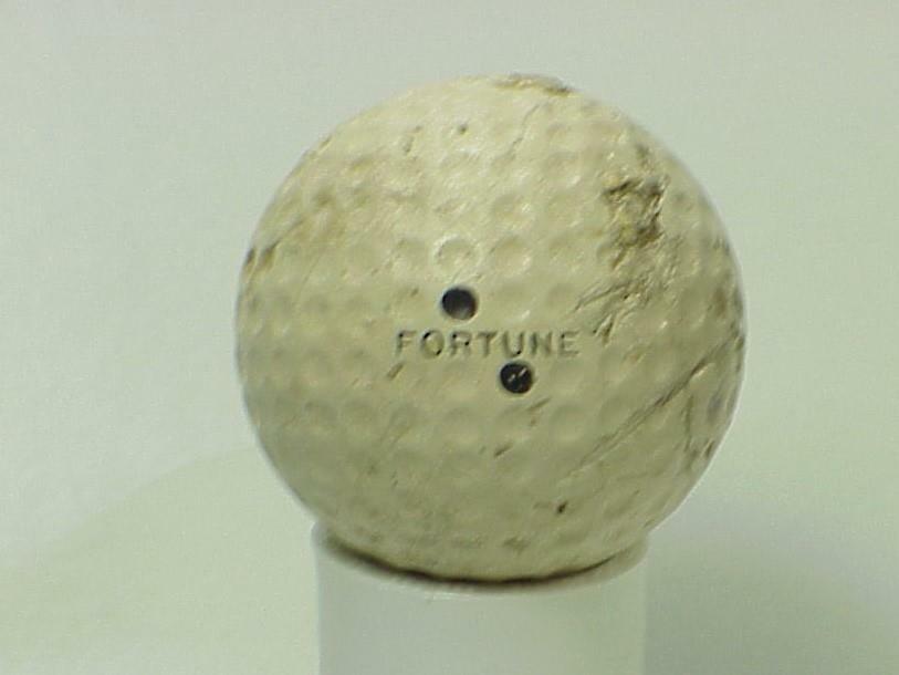 Fortune - 1 | eBay