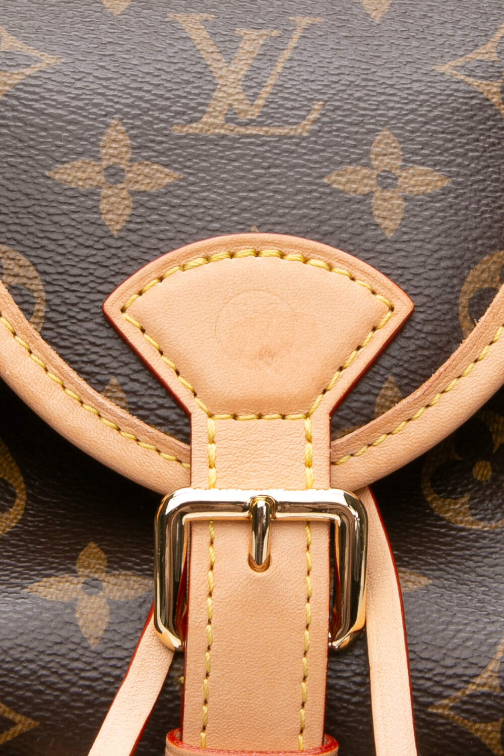 LOUIS VUITTON Monogram Excursion PM Backpack - image 9