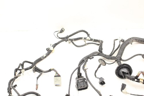 Arnés de cableado del motor Ford Mach-E 21-24 PJ8T14290 *VER NOTAS* - Imagen 6 de 11