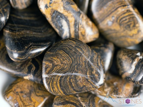 STROMATOLITE Fossil Tumbled Healing Crystals and Stones, Self Care, Gift, E1105 - Picture 3 of 10