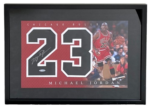 マイケル　ジョーダン　レアインサート　jordan Michael Jordan Card UPPER DECK INSERT SP AUTHENTIC RARE