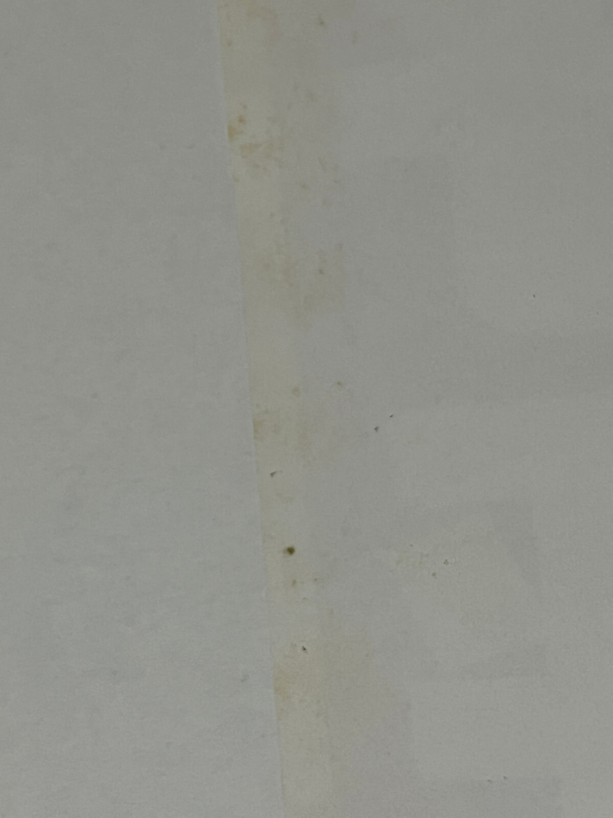 Bild 5 von 6