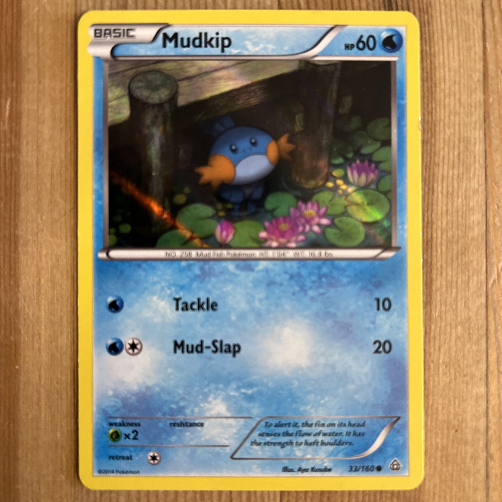 Mudkip - 33/160 - Alternate Holo Promo Rare Primal Clash TCG - Pokemon Card - LP