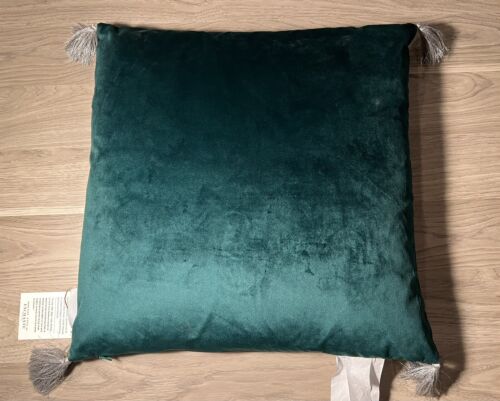 Rae Dunn HOME Green Toss Pillow 20in. x 20in. Silver Tassels NWT - Picture 2 of 5